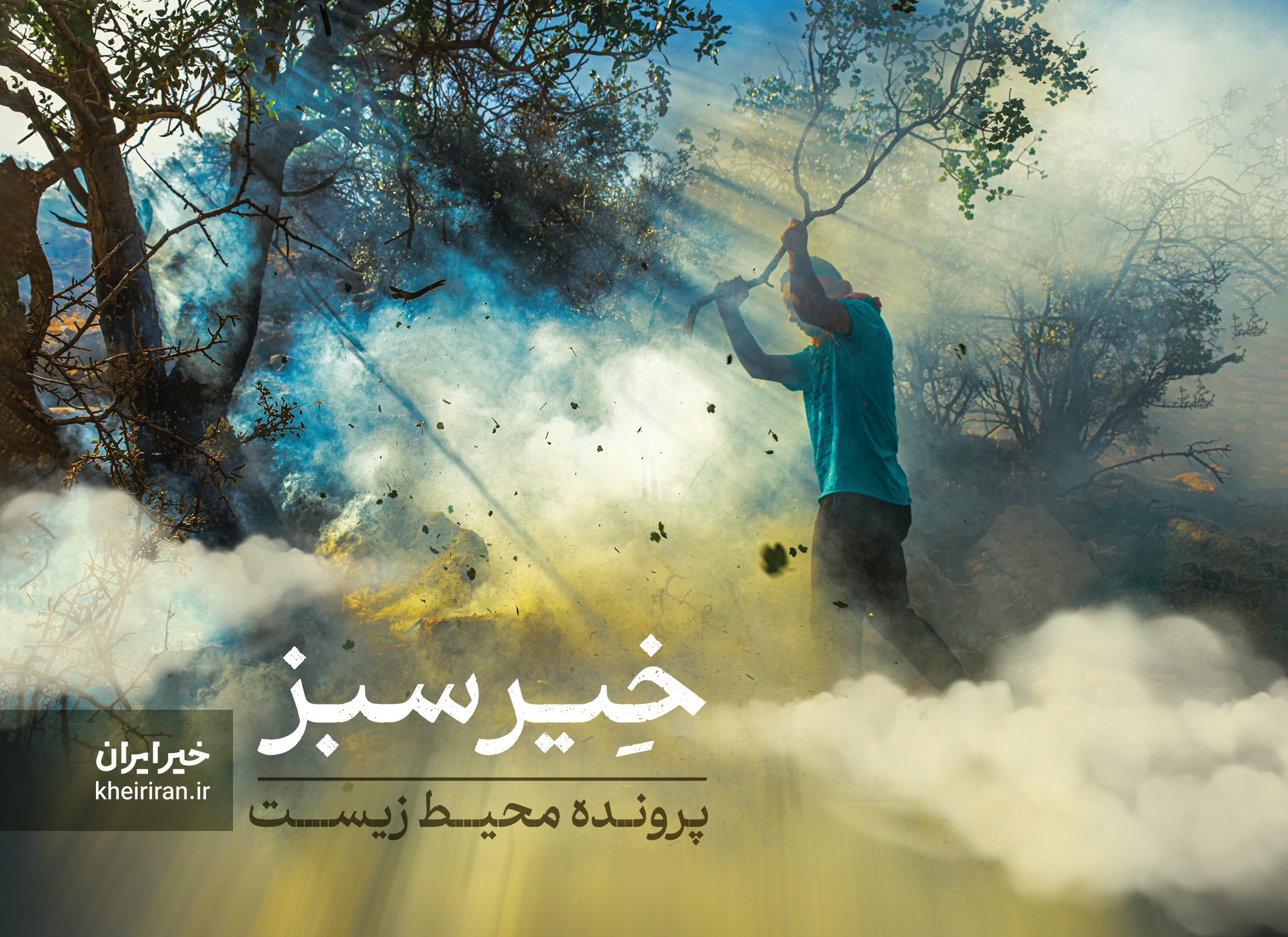 خِیر سبز