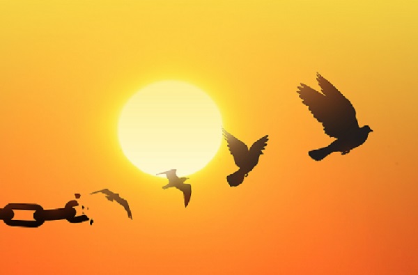 ۷۶ بدهکار مالی ایثارگر در آستانه آزادی