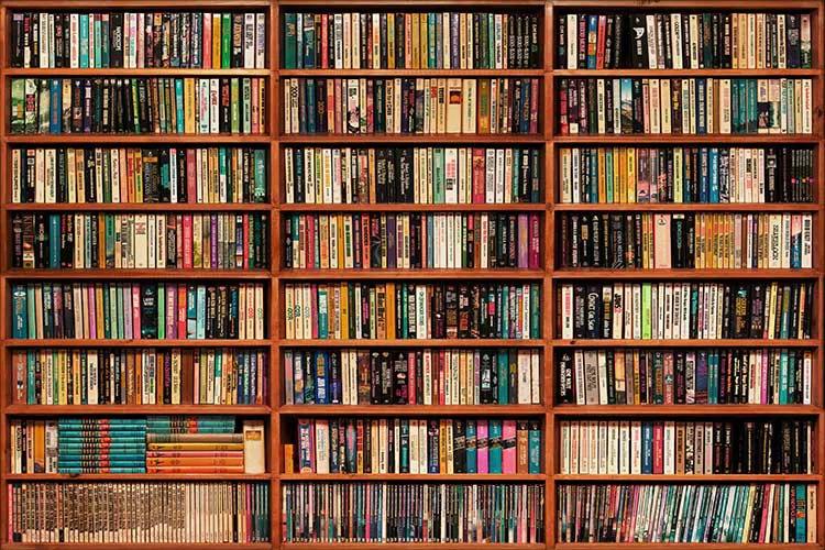کتاب‌های شخصی یکی از مفاخر ادبی ایران به کتابخانه‌های عمومی ملایر اهدا شد