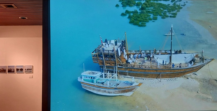 گزارش خیر ایران از نمایشگاه «سَر زور زوما»: روایت کنش جمعی برای احیای زیست‌محیطی