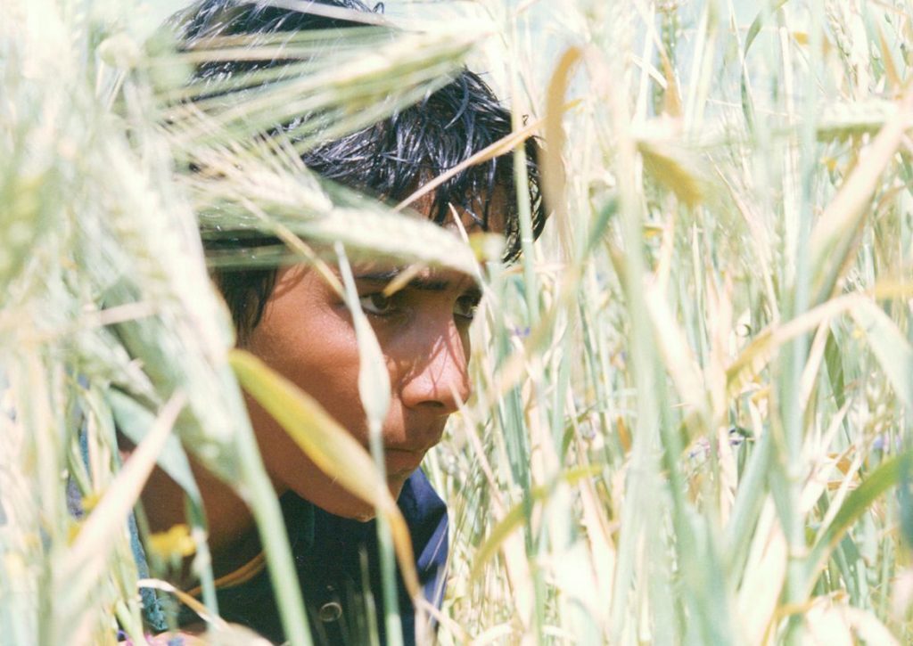 بازتعریف مفهوم پدر در نگاه پسر بازتعریف مفهوم پدر در نگاه پسر