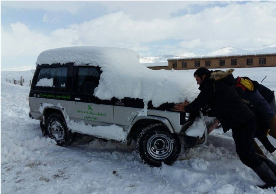 پیامبری کتابها در مرز میان ۳ کشور در کوههای دالامپر پیامبری کتابها در مرز میان ۳ کشور در کوههای دالامپر