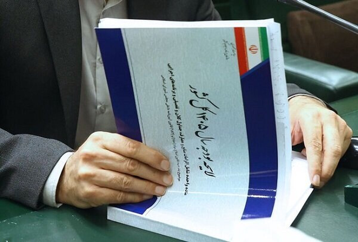 نگاهِ اقتصادی یا اجتماعیِ صرِف در بودجه‌نویسی، آسیب‌زاست / به تلفیقی از دو نگاه نیاز داریم