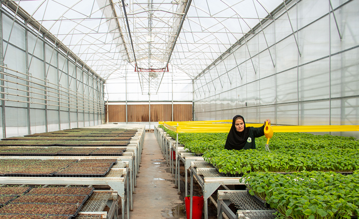 تخصیص هزاران هکتار زمین به نیروگاه‌های خورشیدی و انرژی پاک