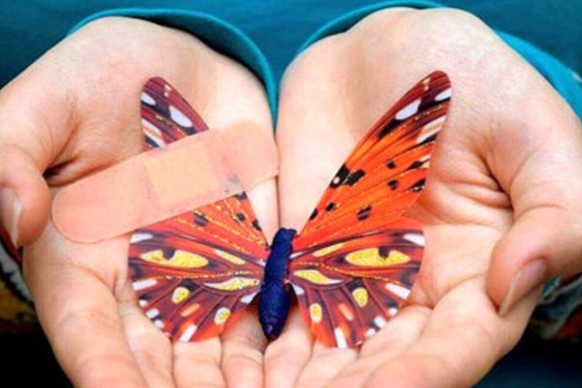 پرواز واژه‌ها برای پروانه‌ها؛ «پروانگی» منتشر شد