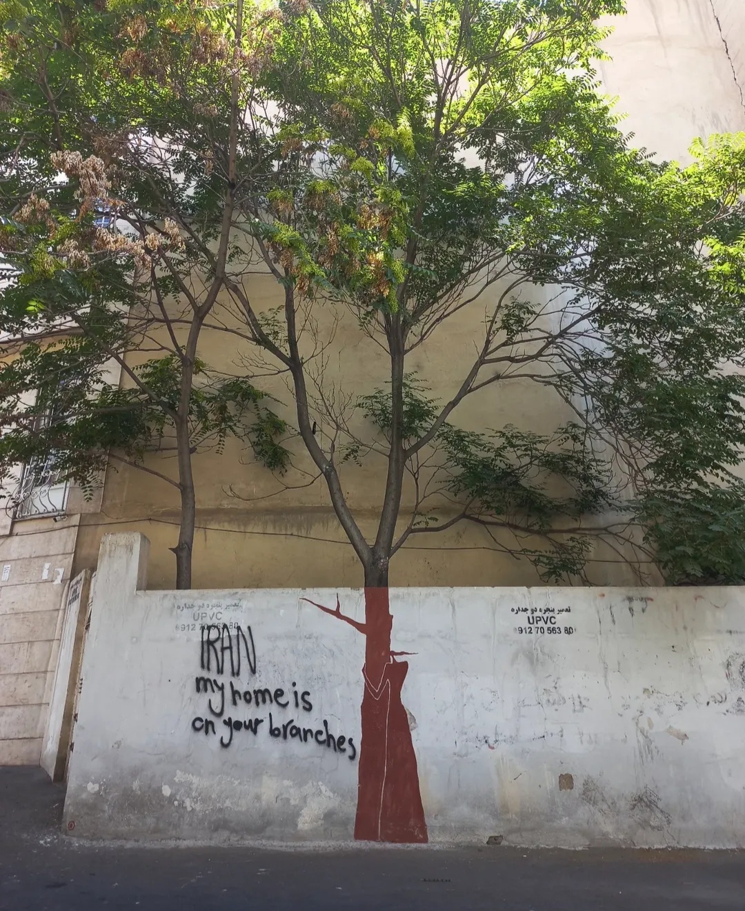دیوارنگاره‌هایی پایدار برای ایران از نقاش برجسته خیابانی؛ میرزاحمید