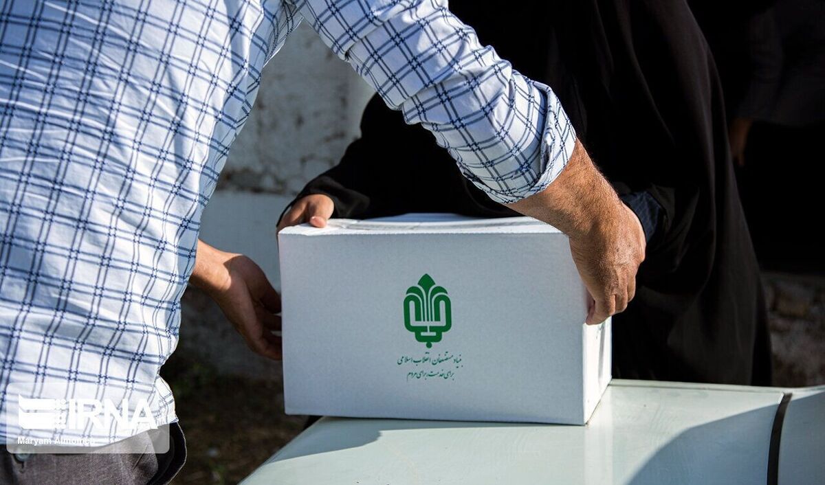 پیشنهادات کارشناسان برای بنیاد علوی؛ از تولید «کالای اجتماعی» تا «سرمایه‌گذاری اجتماعی»