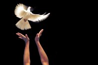 ۱۴ زندانی با محکومیت مالی بیشتر از ۴ میلیارد و ۸۰۰ میلیون تومان، با کمک بانوی اردبیلی آزاد شدند