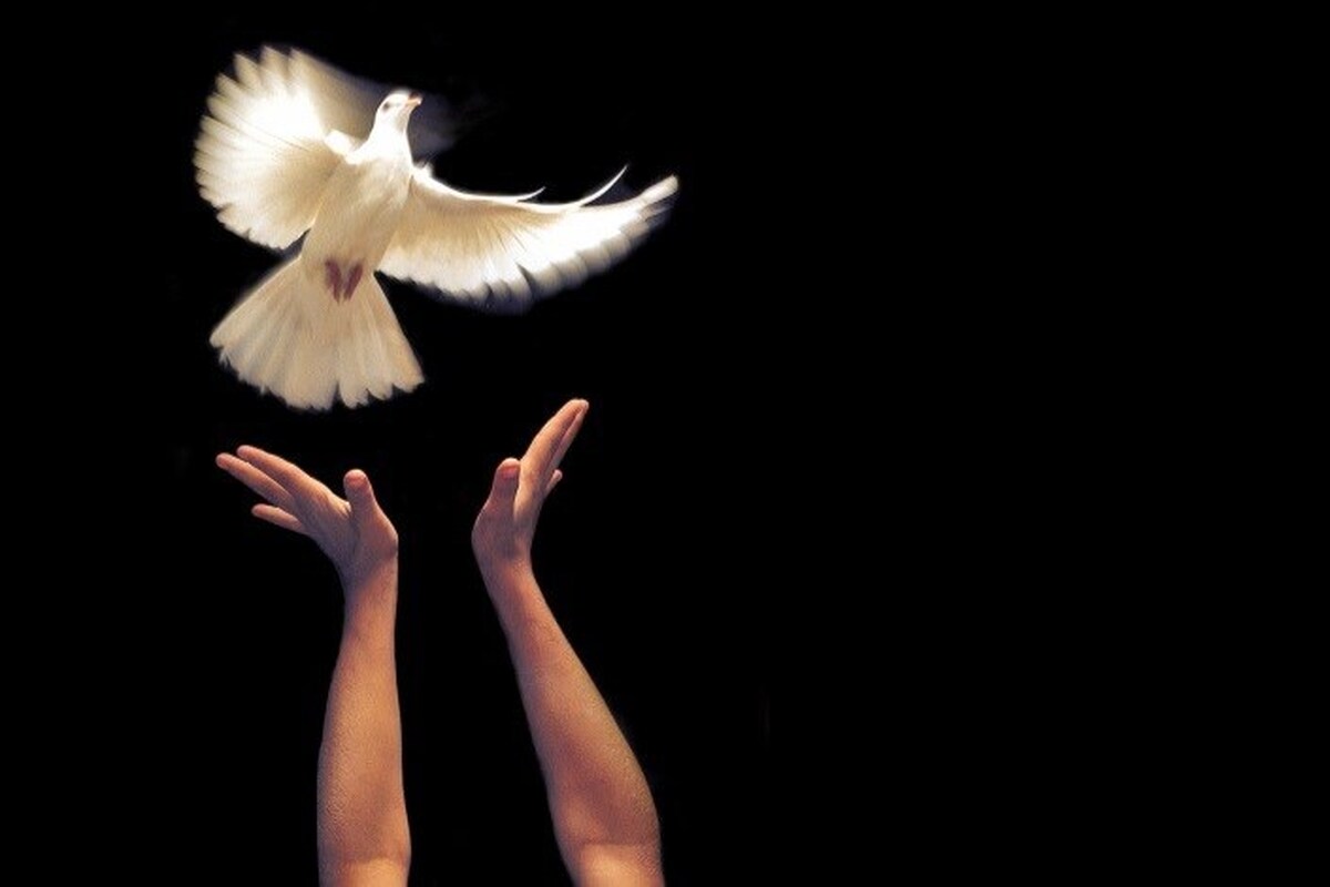 ۱۴ زندانی با محکومیت مالی بیشتر از ۴ میلیارد و ۸۰۰ میلیون تومان، با کمک بانوی اردبیلی آزاد شدند