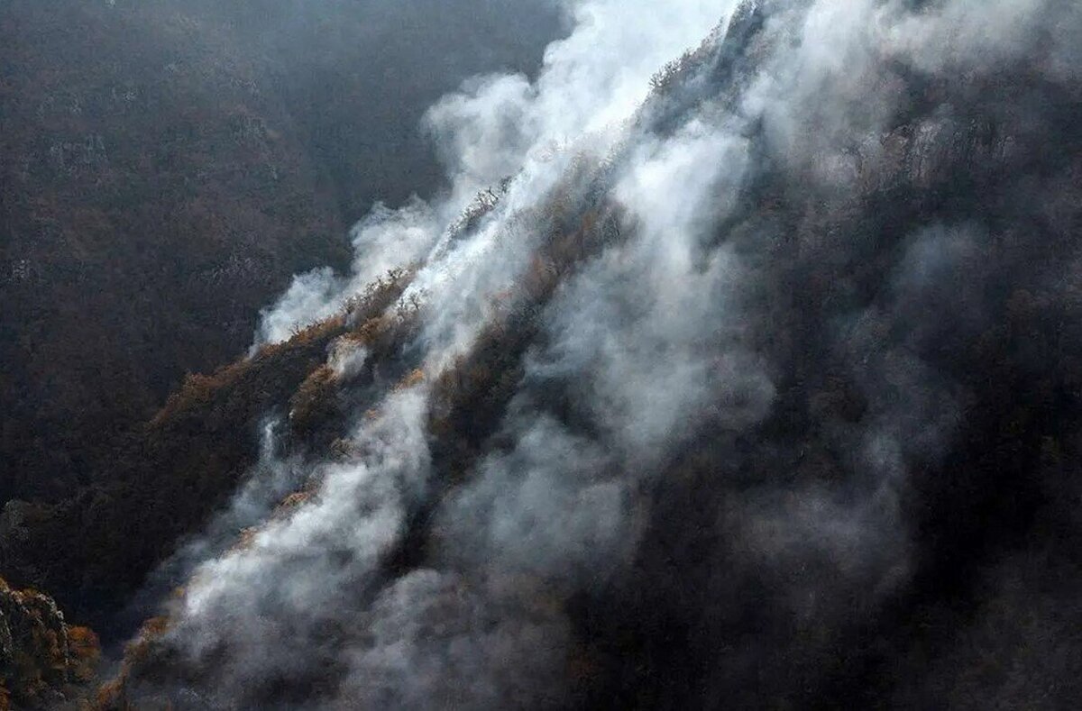 «الیت» همچنان می‌سوزد