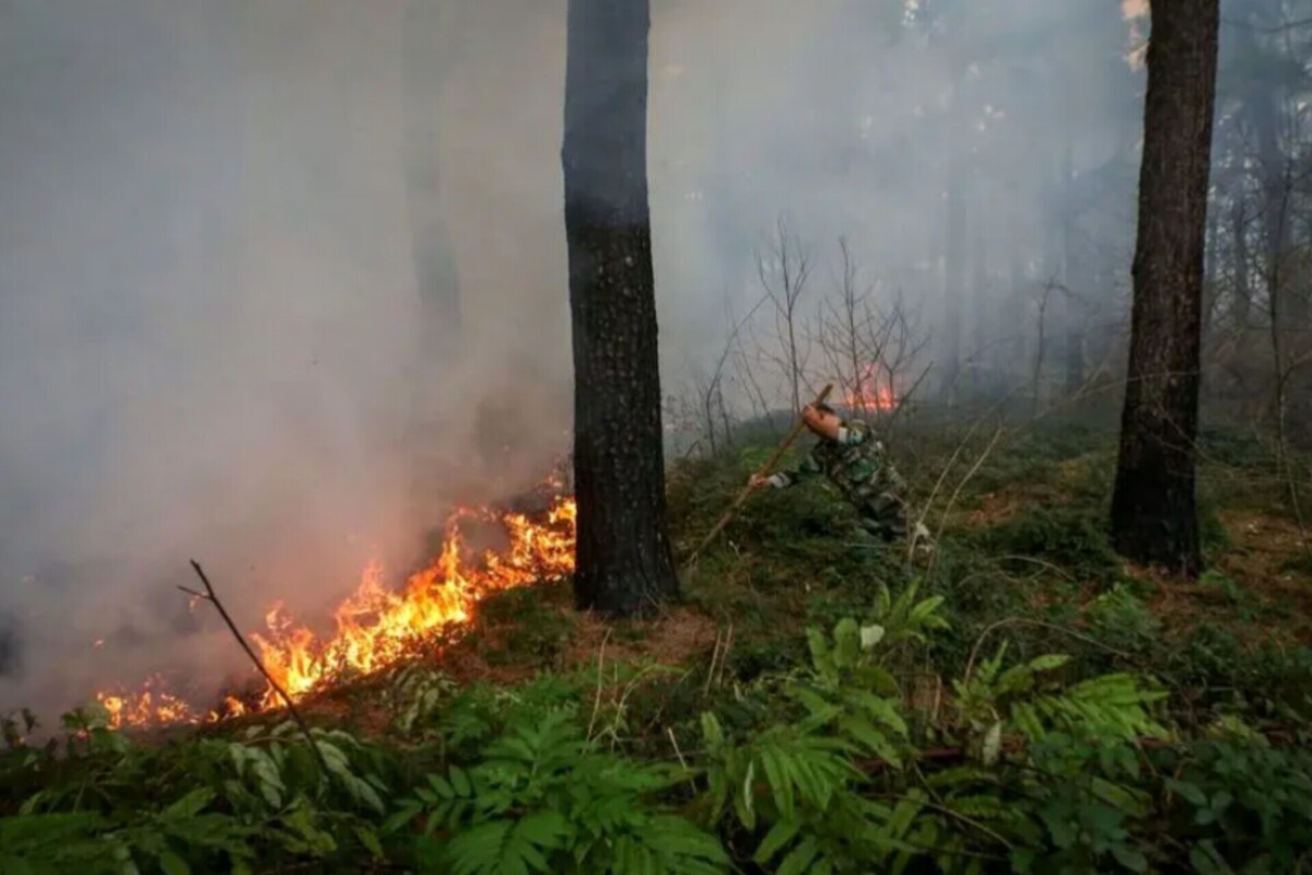 آتش در قلب سوئیس ایران؛ همه باید پای کار بیایند