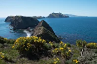 حمایت نامحدود، اما نه با پول! رویکرد جدید «بنیاد لویدز» برای توانمندسازی جامعه محلی در «جزایر کانال مانش»