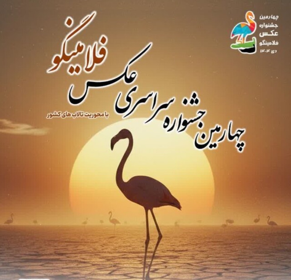 فلامینگوها در قاب هنر/ پوستر جشنوارهای برای حفاظت از میانکاله رونمایی شد فلامینگوها در قاب هنر/ پوستر جشنوارهای برای حفاظت از میانکاله رونمایی شد