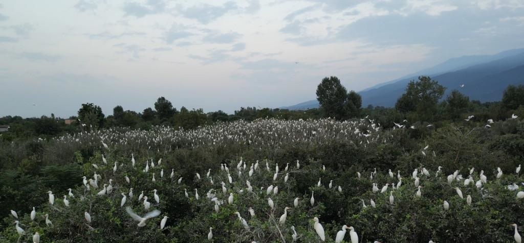 سه مستند تحسین‌شده محیط زیستی درجشنواره سینماحقیقت