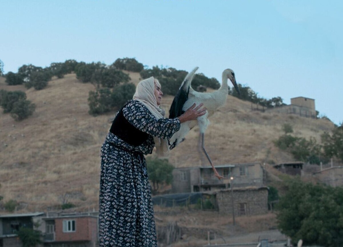 سه مستند تحسین‌شده محیط زیستی درجشنواره سینماحقیقت