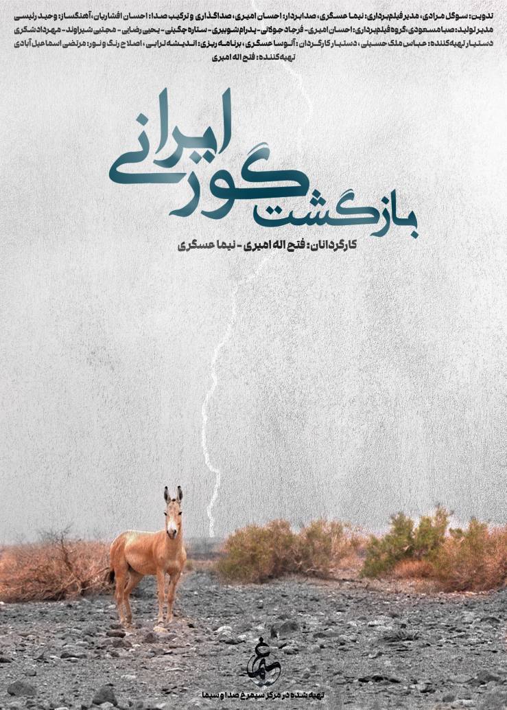 مستندی از موفق‌ترین پروژه حفاظت از گونه‌های جانوری در معرض انقراض/ گورهای ایرانی نجات یافتند