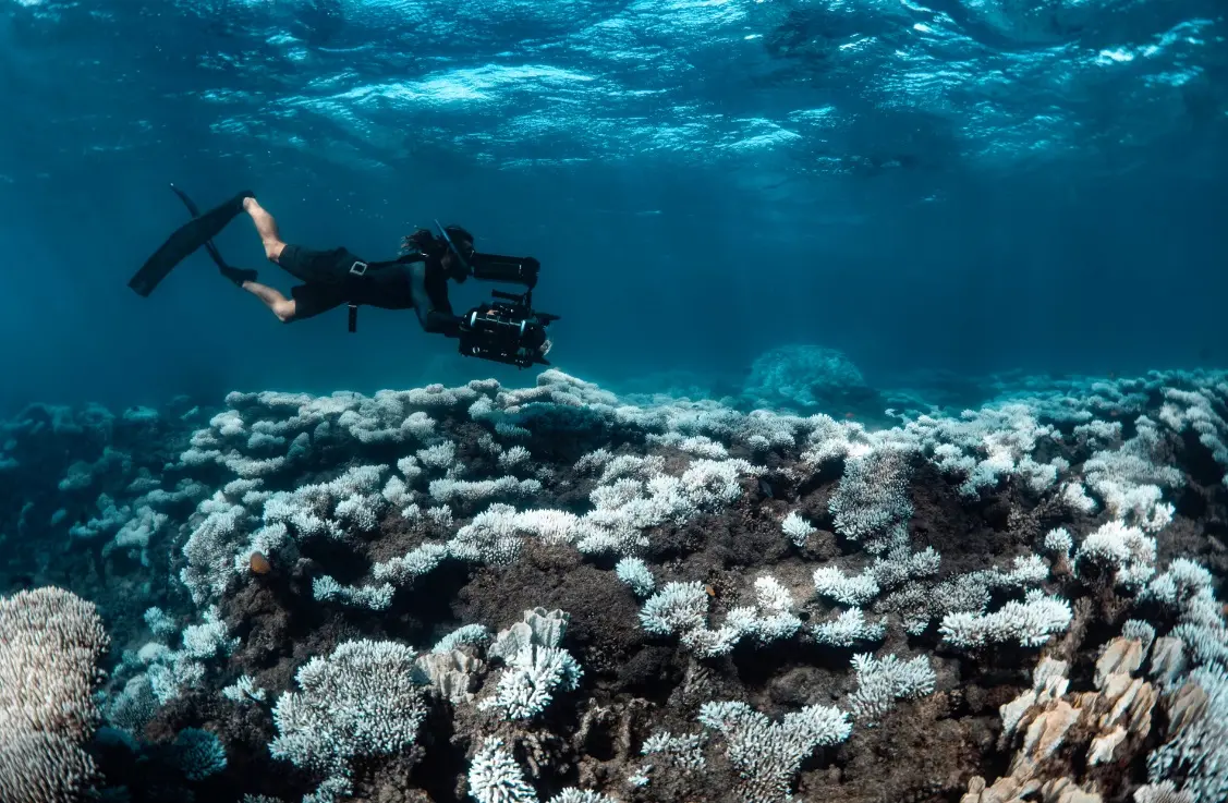 دغدغههای زیستمحیطی در قالب مسابقه عکاسی «اقیانوسیه ۲۰۲۵» دغدغههای زیستمحیطی در قالب مسابقه عکاسی «اقیانوسیه ۲۰۲۵»