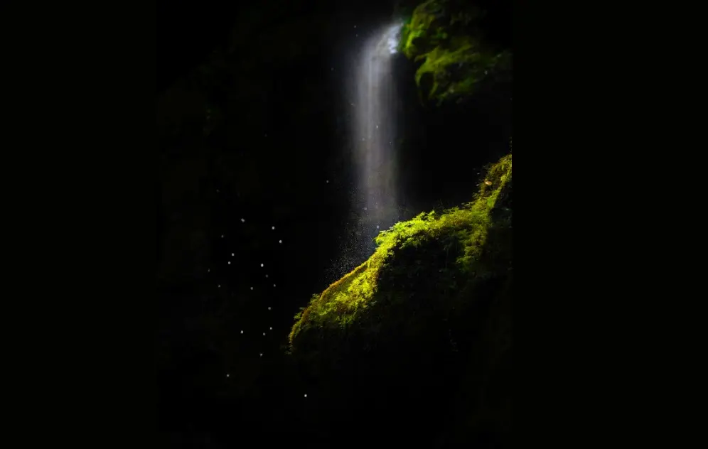 دغدغههای زیستمحیطی در قالب مسابقه عکاسی «اقیانوسیه ۲۰۲۵» دغدغههای زیستمحیطی در قالب مسابقه عکاسی «اقیانوسیه ۲۰۲۵»