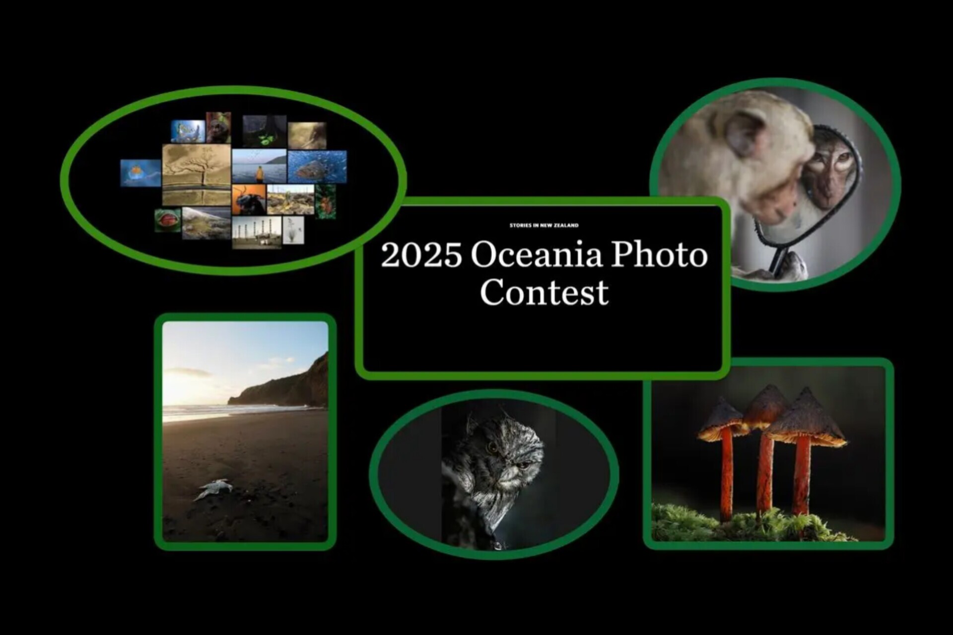 دغدغههای زیستمحیطی در قالب مسابقه عکاسی «اقیانوسیه ۲۰۲۵» دغدغههای زیستمحیطی در قالب مسابقه عکاسی «اقیانوسیه ۲۰۲۵»