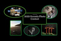 دغدغه‌های زیست‌محیطی در قالب مسابقه عکاسی «اقیانوسیه ۲۰۲۵»