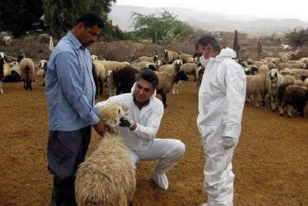 ارائهٔ خدمات رایگان دام‌پزشکی در مناطق کم‌‌تربرخوردار
