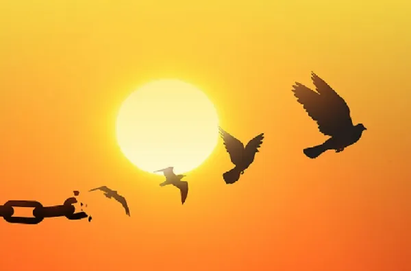 ۷۶ بدهکار مالی ایثارگر در آستانه آزادی