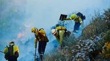 اکوسیستم بین‌المللی غیردولتی‌ها در کاهش خطر بلایا