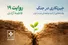 معنای وطن