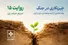 به شیرینی سمنو