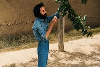 هم‌سرشتی با طبیعت در شعر سهراب سپهری
