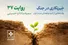 چطور باز هم کنار هم زندگی کنیم؟