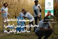 اکوسیستم NGOهای محیط‌زیستی بین‌المللی: ساختار و چالش‌ها