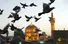 بازخوانی یک حدیث از امام رضا (ع): «...مسلمانِ عاقل از رجوع حاجتمندان به وی خسته نمی‌شود»