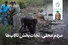 مردم محلی، نجات‌بخش تالاب‌ها