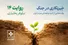 امید با تشدید روی میم 