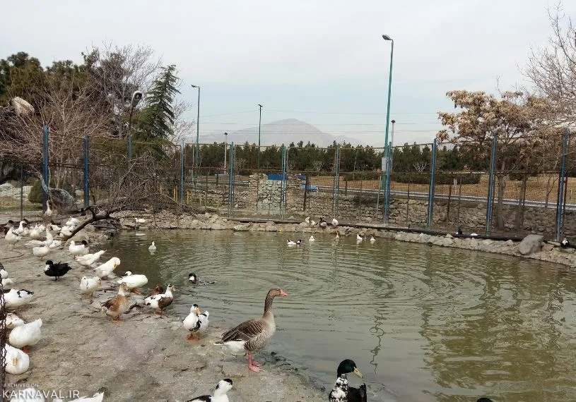 پردیسان