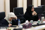 نشست خبری دومین جشنواره ملی نشان نیکوکاری