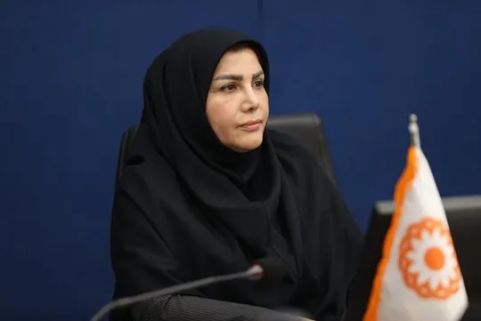 راه‌اندازی ۷۲ صندوق تأمین مالی خرد برای حمایت از کسب‌وکار‌های محلی
