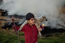 آتش زدن کاه و کلش برنج؛ وقتی پاک‌سازی زمین به آلودگی هوا منجر می‌شود