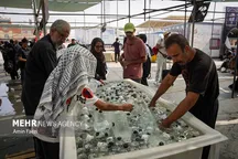 از عشق حسینی تا مسئولیت زیست‌محیطی