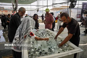 از عشق حسینی تا مسئولیت زیست‌محیطی