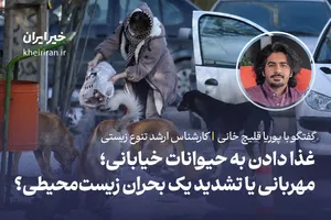 غذا دادن به حیوانات خیابانی؛ مهربانی یا تشدید یک بحران زیست‌محیطی؟