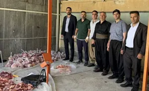 خیرین پیرانشهر ۲ راس گاو به نیازمندان اختصاص دادند