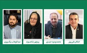 نمایندگان سازمان‌های مردم‌نهاد در شورای ملی توسعه و حمایت از تشکل‌ها انتخاب شدند