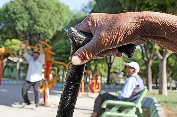 پرونده بیش از ۱۱ هزار سالمند بوشهر به مراکز نیکوکاری کمیتۀ امداد واگذار شد