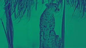 فاجعه خاموش در سایه جنگ؛ فعالان محیط‌زیست ایران چگونه از جامعه جهانی مطالبه کنند؟