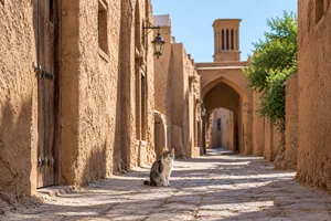 «زمین گربه‌گی»؛ عجیب‌ترین وقف بشرویه