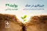 بار دیگر شهری که دوستش داشتم