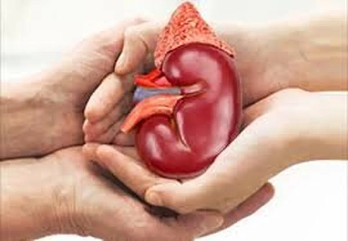 تأمین هزینه ۹ پیوند کلیه با مشارکت خیریه ابوالفضل (ع) برای بیماران تحت حمایت کمیته امداد