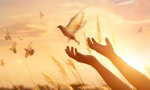 آزادی 85 زندانی غیرعمد در خوزستان به برکت پویش «سفینة‌النجاة»